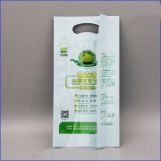 四边封500g育苗菌剂糖心VLOG视频在线观看